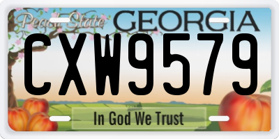 GA license plate CXW9579