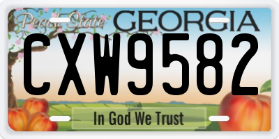 GA license plate CXW9582
