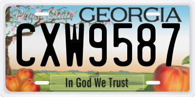 GA license plate CXW9587