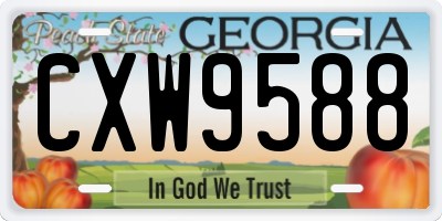 GA license plate CXW9588