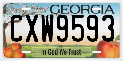 GA license plate CXW9593