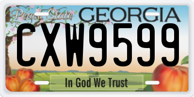 GA license plate CXW9599