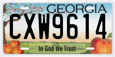 GA license plate CXW9614
