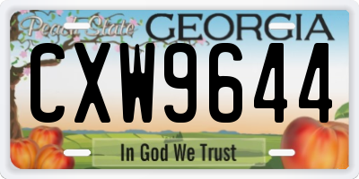 GA license plate CXW9644