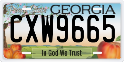 GA license plate CXW9665
