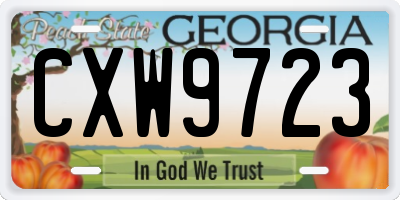 GA license plate CXW9723