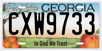 GA license plate CXW9733