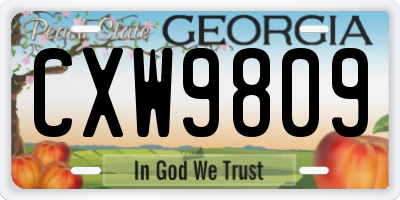 GA license plate CXW9809