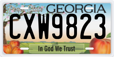 GA license plate CXW9823