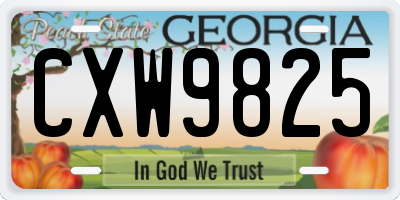 GA license plate CXW9825