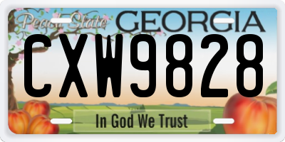 GA license plate CXW9828