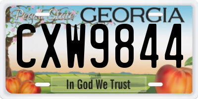 GA license plate CXW9844