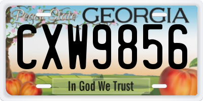 GA license plate CXW9856