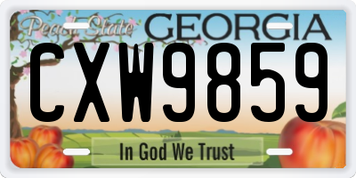GA license plate CXW9859