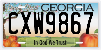 GA license plate CXW9867