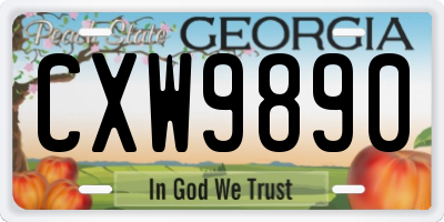 GA license plate CXW9890
