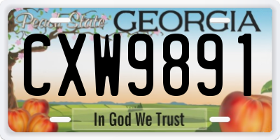 GA license plate CXW9891