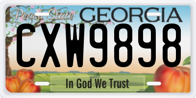 GA license plate CXW9898