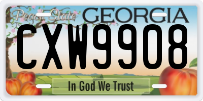 GA license plate CXW9908