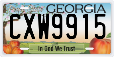 GA license plate CXW9915
