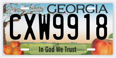 GA license plate CXW9918
