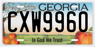 GA license plate CXW9960
