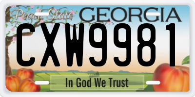 GA license plate CXW9981
