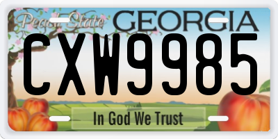 GA license plate CXW9985