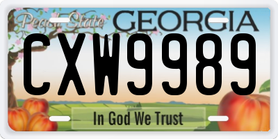 GA license plate CXW9989
