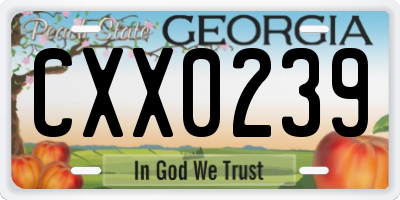 GA license plate CXX0239