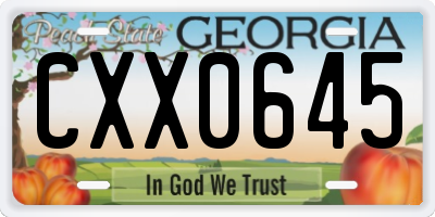 GA license plate CXX0645