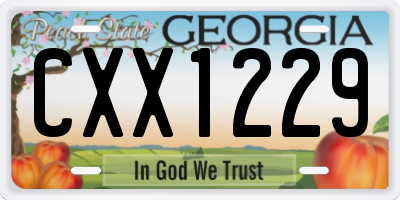 GA license plate CXX1229