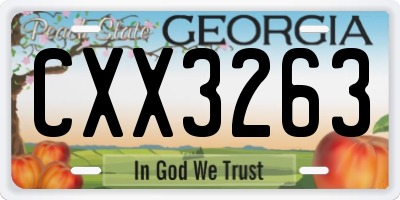 GA license plate CXX3263