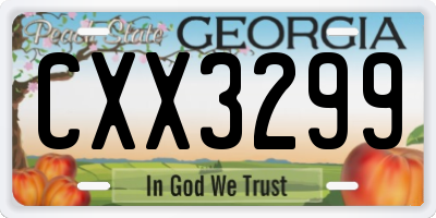 GA license plate CXX3299