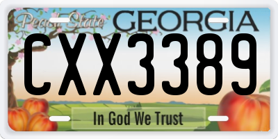 GA license plate CXX3389