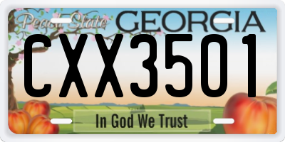 GA license plate CXX3501
