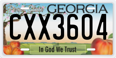 GA license plate CXX3604