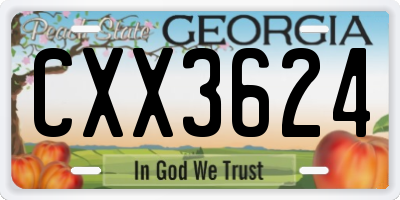 GA license plate CXX3624