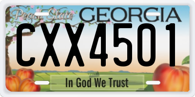 GA license plate CXX4501