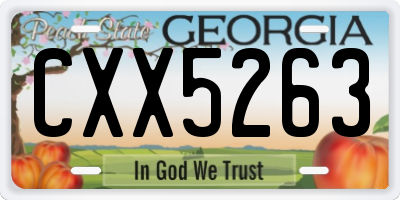 GA license plate CXX5263