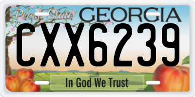 GA license plate CXX6239