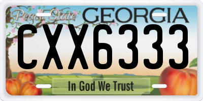 GA license plate CXX6333