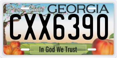 GA license plate CXX6390