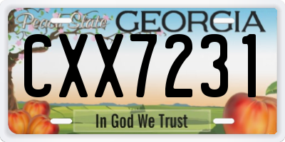 GA license plate CXX7231