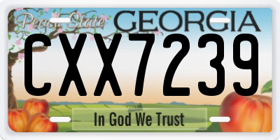 GA license plate CXX7239