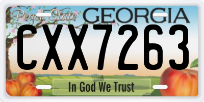 GA license plate CXX7263