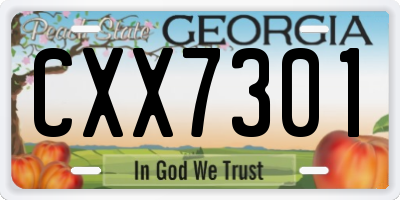 GA license plate CXX7301