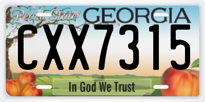 GA license plate CXX7315