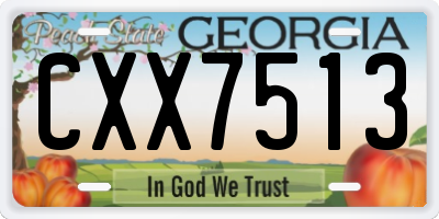 GA license plate CXX7513
