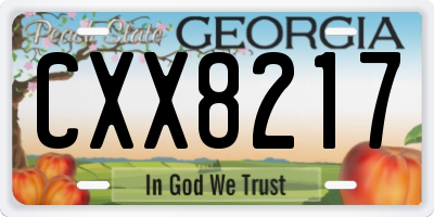 GA license plate CXX8217